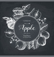 vintage card design with apple fruits sketch vector image