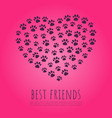 pet paws concept in heart shape vector image
