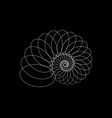 snail spiral logo sea shell white circles vector image vector image