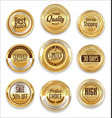 sale retro vintage golden badges and labels 08 vector image