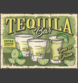 tequila bar vintage flyer colorful vector image vector image