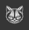 abstract head of a predatory cat vector image
