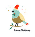 cute robin bird on a branch christmas vector image
