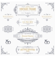 design collection of vintage patterns vector image