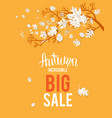 autumn yellow sale image vector image