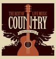 country music poster with guitar and wings vector image