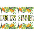 slogan endless summer jungle frame vector image