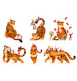tiger chinese sign set vector image