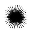 burst isolated texture vector image vector image