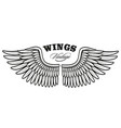 vintage wings 2 vector image
