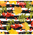 autumn leaves background - seamless pattern vector image vector image