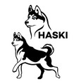 dog husky logo vector image