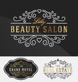 flourish line logotype template vector image vector image