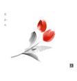 red tulips ink painting on white background vector image