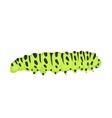 macro of green caterpillars isolated on white vector image