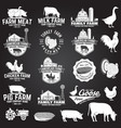 american farm badge or label vector image vector image