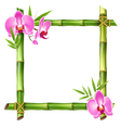 green bamboo frame with pink orchid flowers vector image vector image