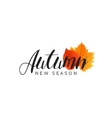 autumn new season of sales and discounts deals vector image