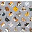 fur cats pattern background vector image vector image
