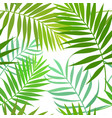 seamless pattern of palm leaves vector image