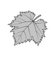 grape leaf gray symbol vector image