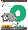 letter o from alphabet with opossum animal vector image