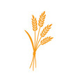 wheat barley rice icon hand drawn vector image