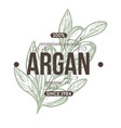 argan plant isolated icon with lettering herbs vector image vector image