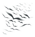 flock of birds on a white background vector image