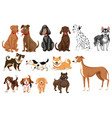 set of dogs white background vector image