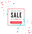 sale special offer advertising promo banner vector image