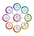 abstract options infographics template vector image