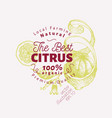 lemon hand drawn fruit vector image