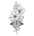 hand drawn flowers and butterfly vector image vector image