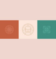 line decoration design elements set vector image