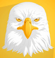bald eagle vector image vector image
