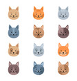 set cute cats heads vector image vector image