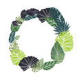 tropical leaf flat design wreath frame vector image
