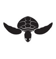 graphic isolate sea turtle vector image vector image