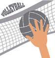 volleyball sport vector image vector image