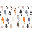 Cat characters and vet care seamless pattern flat Vector Image