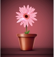 flower in pot vector image