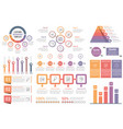infographic elements vector image vector image