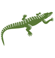 crocodile design vector image