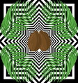 palm leaves and coconuts on a black white vector image vector image