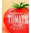poster tomato vector image