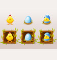cartoon isolated blue eggs and chicken in square vector image