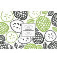 hand drawn sketch style cherimoya banner organic vector image vector image