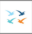 hummingbird logo template vector image vector image