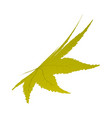maple autumn leaf vector image vector image